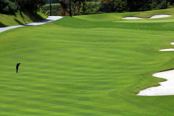 Golf & Party Combining Fun in Florida, Michigan, and Beyond
